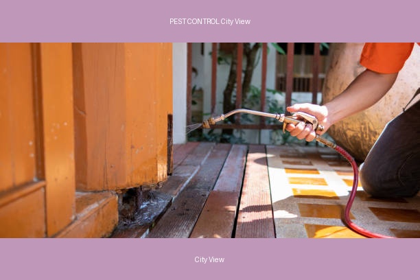 PEST CONTROL City View